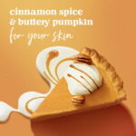 Dove Liquid Hand Wash Cinnamon Pumpkin Pie Holiday Treats Limited Edition, 12 fl oz - Image 2